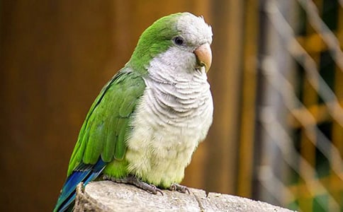 �ҵĄ��������W�^����15ƪ