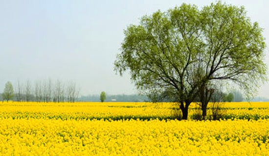 С�W(xu��)��������ӛ